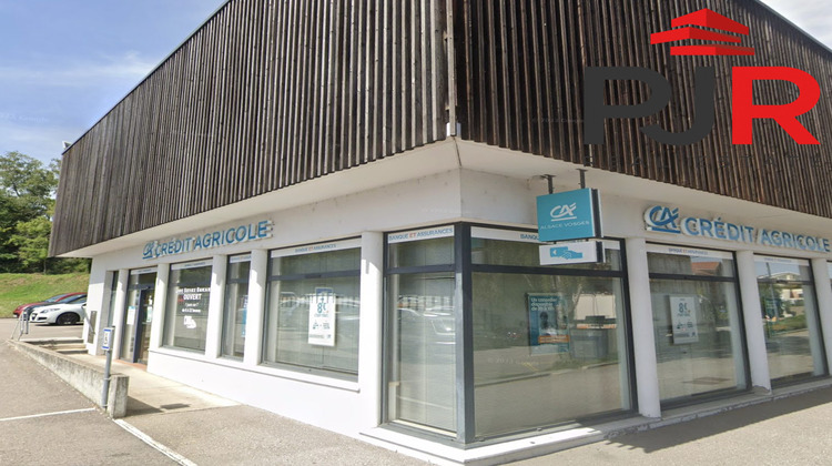 Ma-Cabane - Vente Local commercial Golbey, 2958 m²