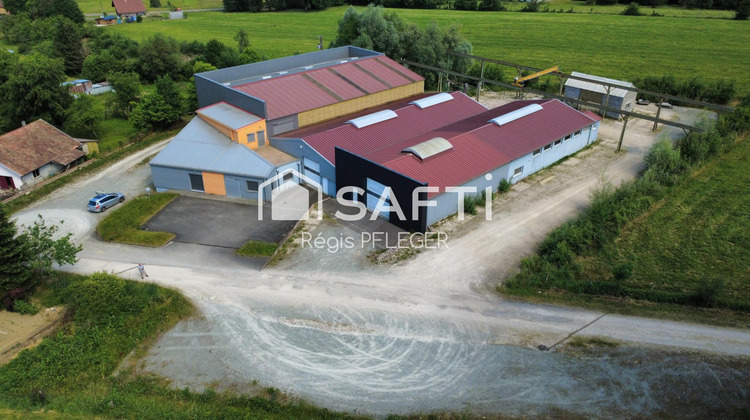 Ma-Cabane - Vente Local commercial Grandvillars, 1900 m²