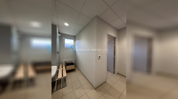 Ma-Cabane - Vente Local commercial Graulhet, 571 m²