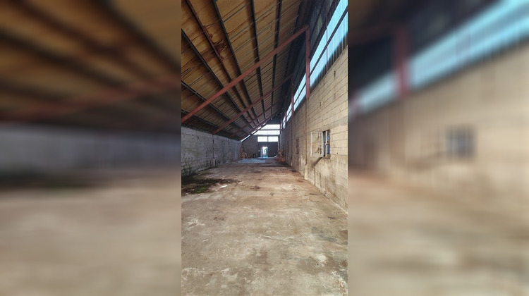 Ma-Cabane - Vente Local commercial Graulhet, 500 m²