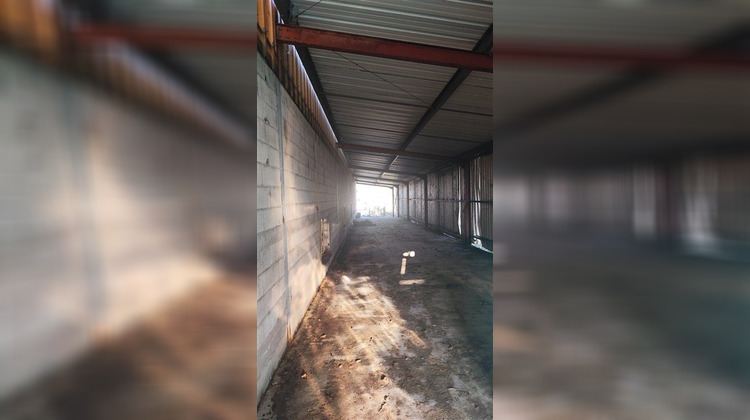 Ma-Cabane - Vente Local commercial Graulhet, 500 m²