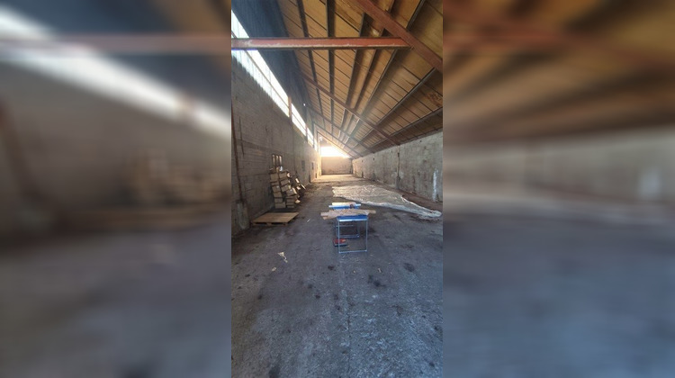 Ma-Cabane - Vente Local commercial Graulhet, 500 m²