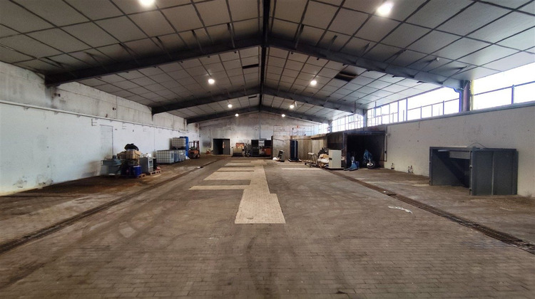 Ma-Cabane - Vente Local commercial Graulhet, 992 m²