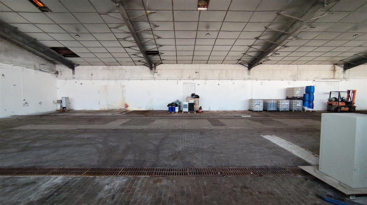 Ma-Cabane - Vente Local commercial Graulhet, 992 m²