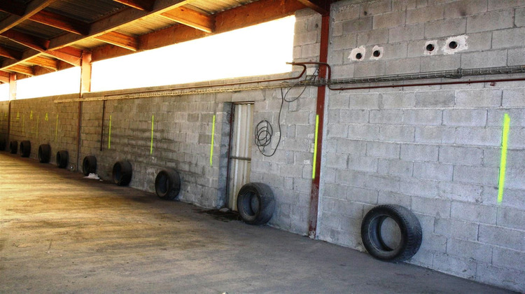 Ma-Cabane - Vente Local commercial Graulhet, 480 m²