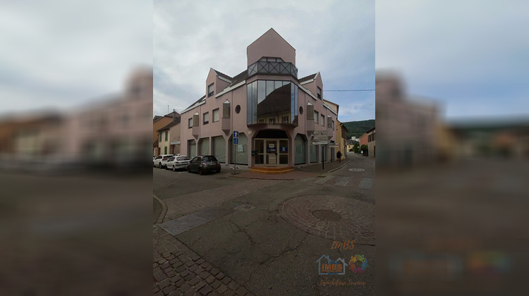 Ma-Cabane - Vente Local commercial Guebwiller, 626 m²