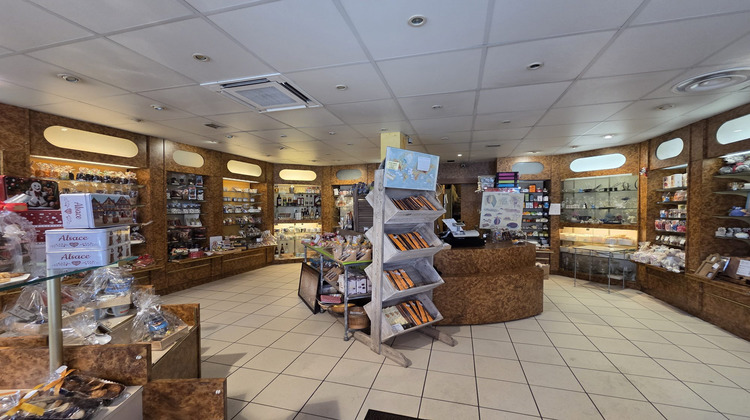 Ma-Cabane - Vente Local commercial Haguenau, 352 m²