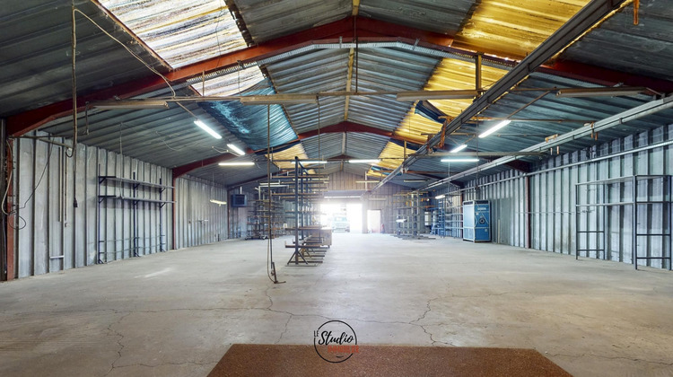 Ma-Cabane - Vente Local commercial Hatten, 552 m²