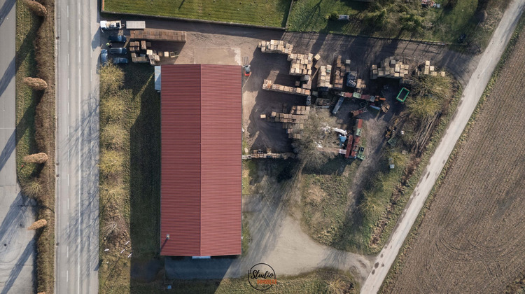 Ma-Cabane - Vente Local commercial Hatten, 1091 m²