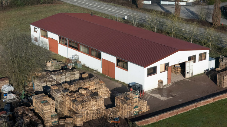 Ma-Cabane - Vente Local commercial Hatten, 1091 m²