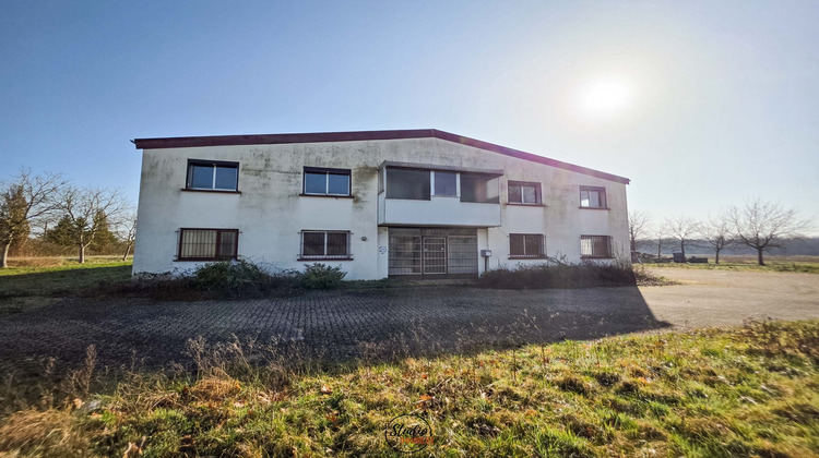 Ma-Cabane - Vente Local commercial Hatten, 1091 m²