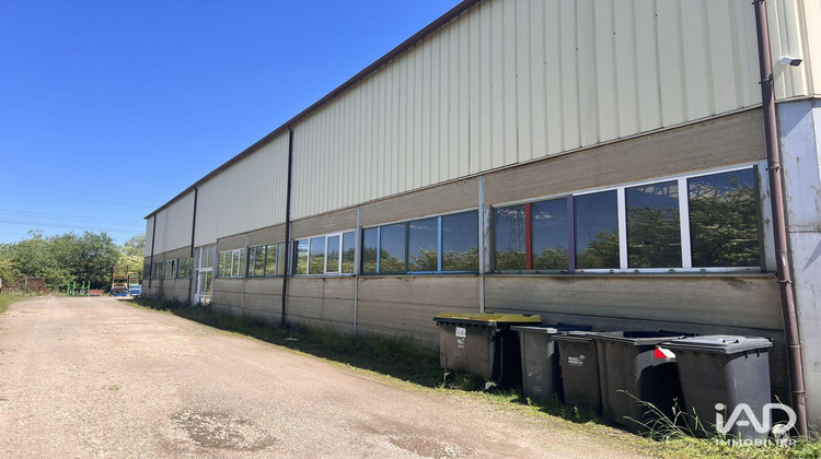 Ma-Cabane - Vente Local commercial Hauconcourt, 1600 m²