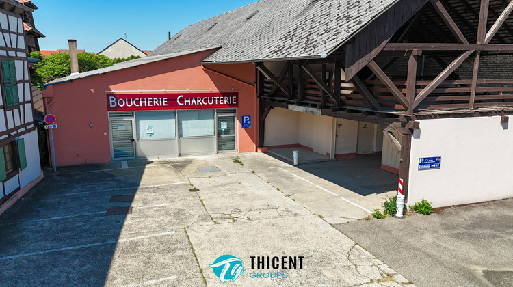 Ma-Cabane - Vente Local commercial Hoerdt, 695 m²