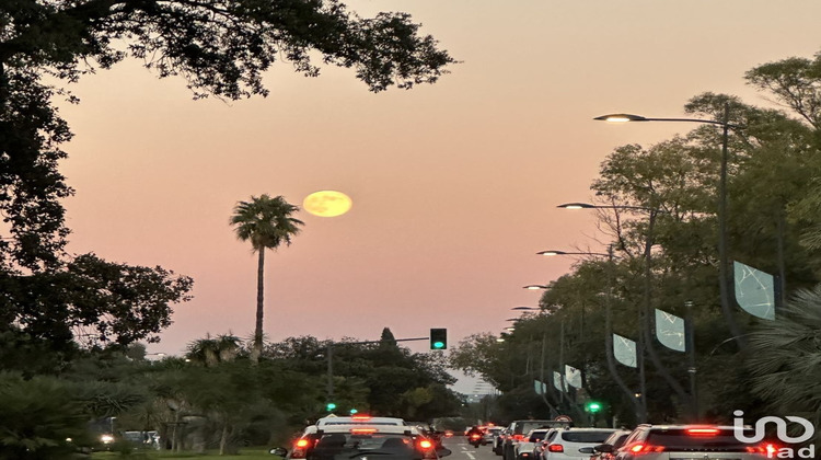 Ma-Cabane - Vente Local commercial Hyères, 480 m²