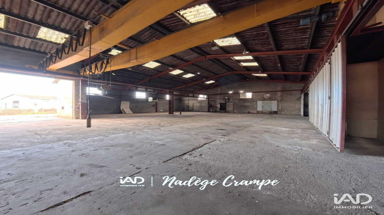 Ma-Cabane - Vente Local commercial Ibos, 702 m²