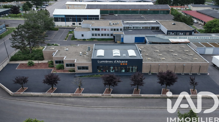 Ma-Cabane - Vente Local commercial Illkirch-Graffenstaden, 776 m²