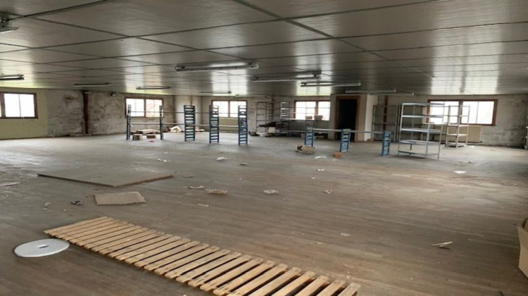 Ma-Cabane - Vente Local commercial L'Isle-d'Espagnac, 1300 m²