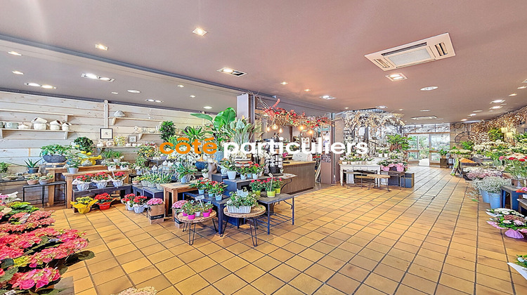 Ma-Cabane - Vente Local commercial LA CHAPELLE-D'ARMENTIERES, 336 m²