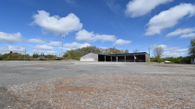 Ma-Cabane - Vente Local commercial LA FERTE MACE, 15021 m²