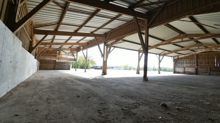 Ma-Cabane - Vente Local commercial LA FERTE MACE, 15021 m²