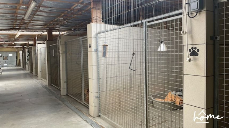Ma-Cabane - Vente Local commercial La Martyre, 240 m²