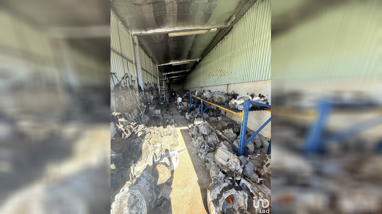 Ma-Cabane - Vente Local commercial La Plaine-des-Palmistes, 692 m²