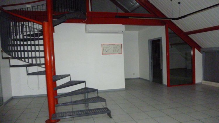 Ma-Cabane - Vente Local commercial LA SALVETAT-SAINT-GILLES, 360 m²