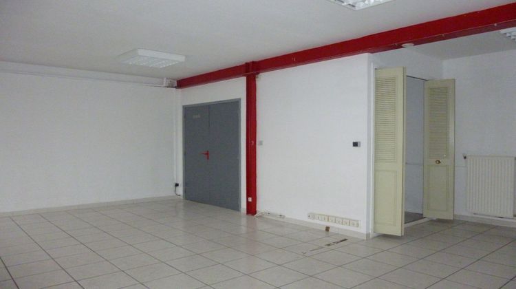 Ma-Cabane - Vente Local commercial LA SALVETAT-SAINT-GILLES, 360 m²