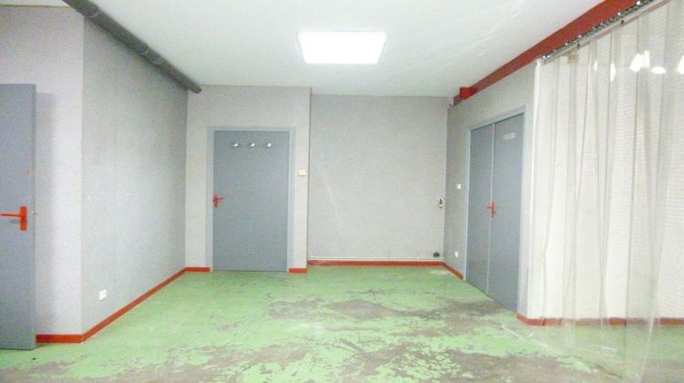 Ma-Cabane - Vente Local commercial LA SALVETAT-SAINT-GILLES, 360 m²