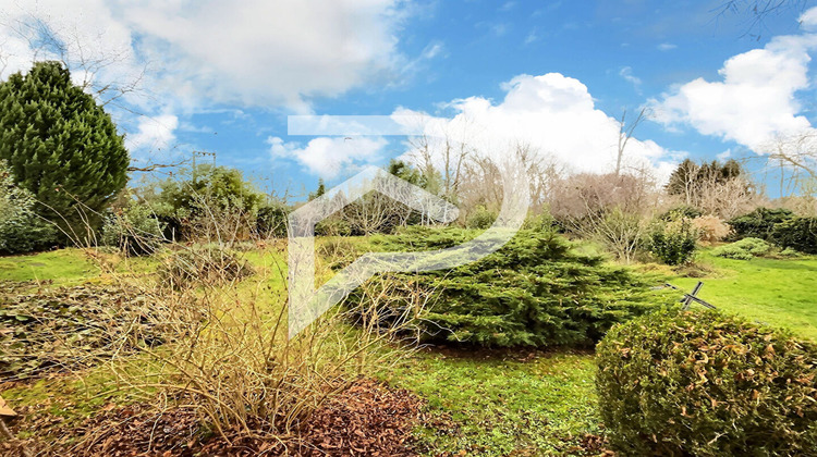 Ma-Cabane - Vente Local commercial LA WANTZENAU, 764 m²