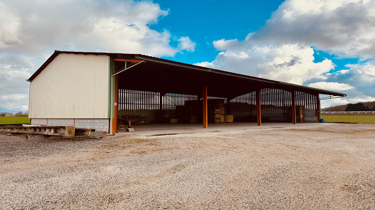 Ma-Cabane - Vente Local commercial LAFRANCAISE, 9953 m²