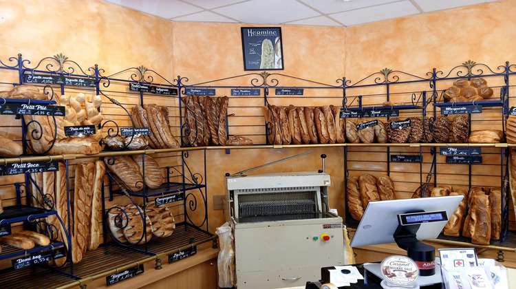 Ma-Cabane - Vente Local commercial Lanmeur, 450 m²
