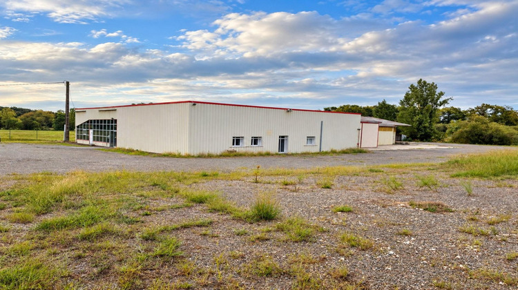 Ma-Cabane - Vente Local commercial Lanne-Soubiran, 1100 m²
