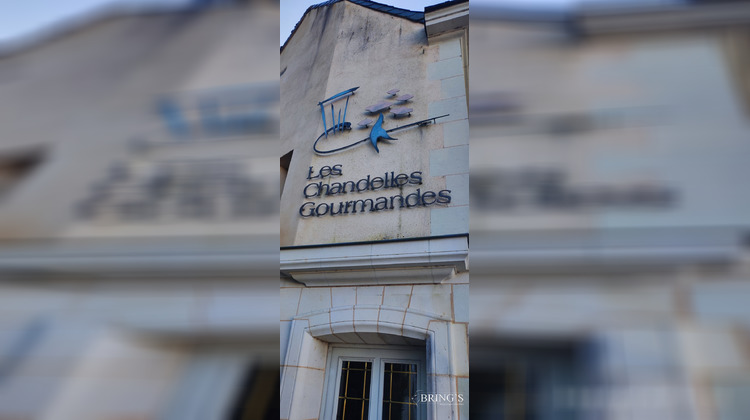 Ma-Cabane - Vente Local commercial Larçay, 350 m²