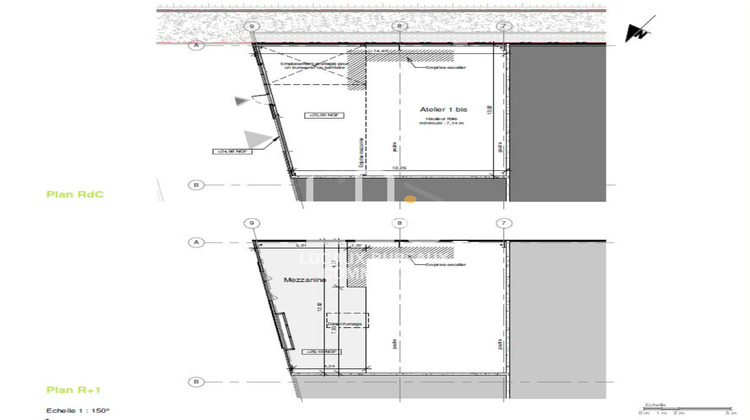 Ma-Cabane - Vente Local commercial Le Bignon, 217 m²
