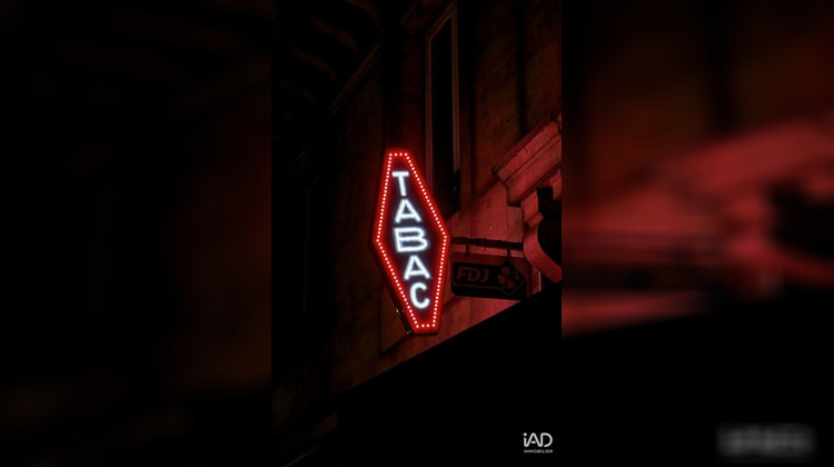 Ma-Cabane - Vente Local commercial Le Cloître-Pleyben, 256 m²