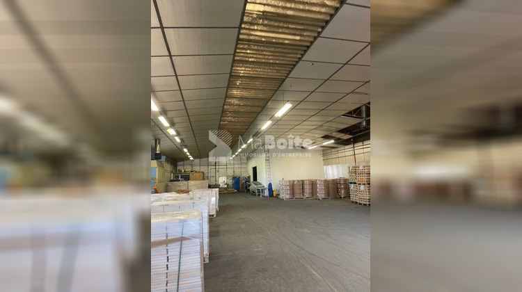 Ma-Cabane - Vente Local commercial LE COTEAU, 630 m²