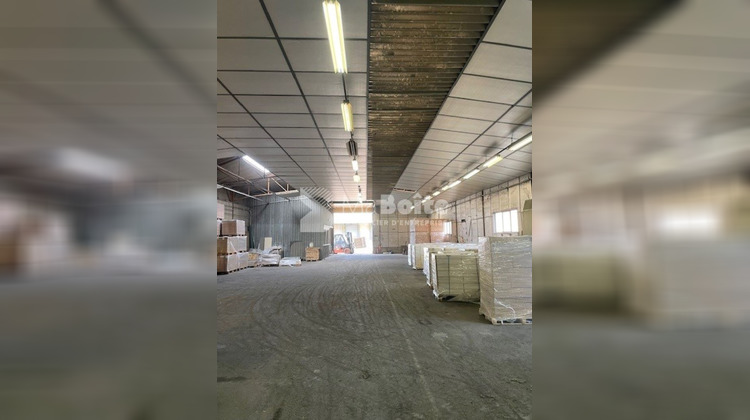 Ma-Cabane - Vente Local commercial LE COTEAU, 630 m²