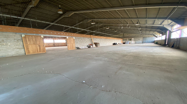 Ma-Cabane - Vente Local commercial LE LUART, 2500 m²