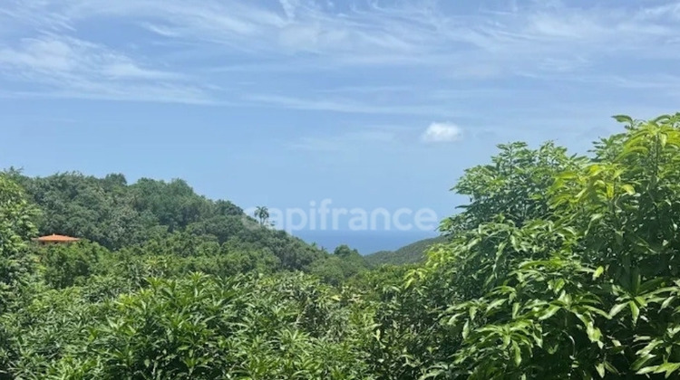 Ma-Cabane - Vente Local commercial LE MARIN, 300 m²