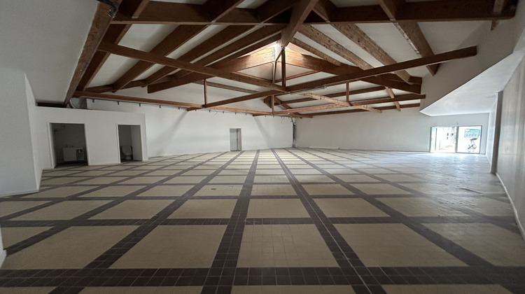 Ma-Cabane - Vente Local commercial Le Palais-sur-Vienne, 198 m²