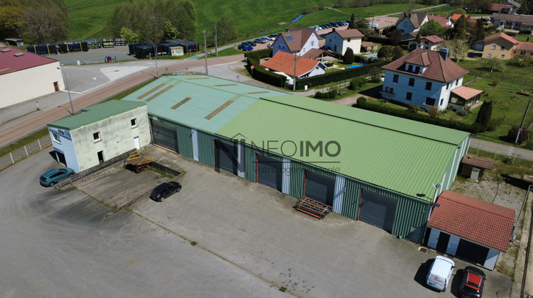 Ma-Cabane - Vente Local commercial LE SYNDICAT, 2650 m²