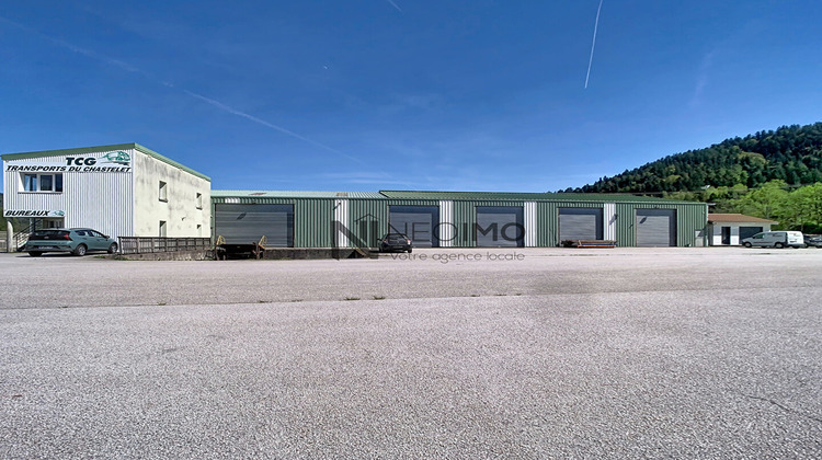 Ma-Cabane - Vente Local commercial LE SYNDICAT, 2650 m²