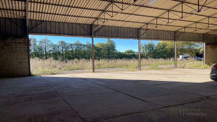 Ma-Cabane - Vente Local commercial LE THOR, 450 m²