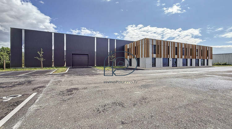 Ma-Cabane - Vente Local commercial Leers, 1097 m²