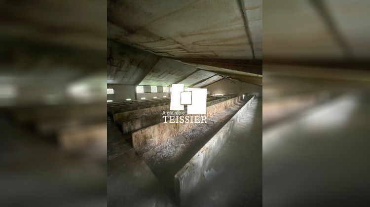 Ma-Cabane - Vente Local commercial Les Assions, 400 m²