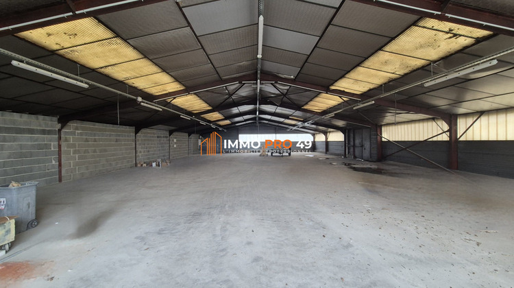 Ma-Cabane - Vente Local commercial Les Epesses, 1248 m²