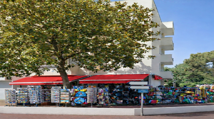 Ma-Cabane - Vente Local commercial LES MATHES, 39 m²