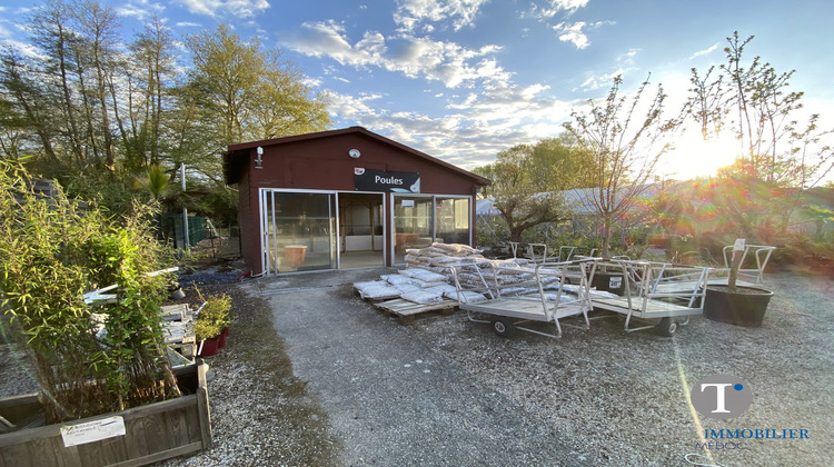 Ma-Cabane - Vente Local commercial Lesparre-Médoc, 400 m²