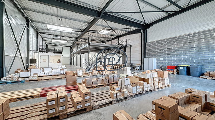 Ma-Cabane - Vente Local commercial Lille, 514 m²